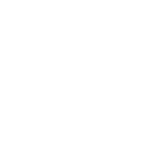 Big Bear Recovery Logo