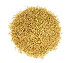 yellow millet