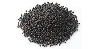 Rapeseed