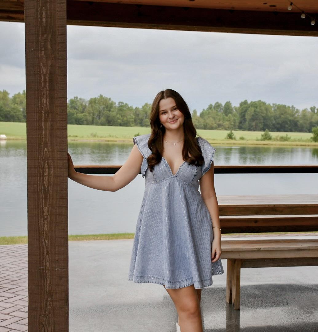 Ruffled Embellished Flare Denim Dress
