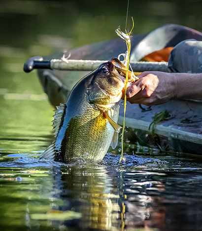 Fishing