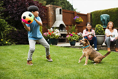 Garden & Pets